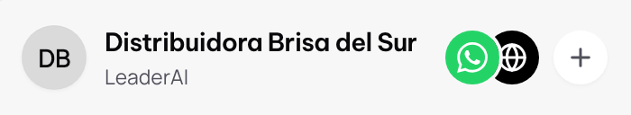 La cabecera con el WhatsApp recién conectado junto al nombre del negocio.