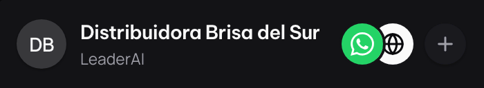 La cabecera con el WhatsApp recién conectado junto al nombre del negocio.